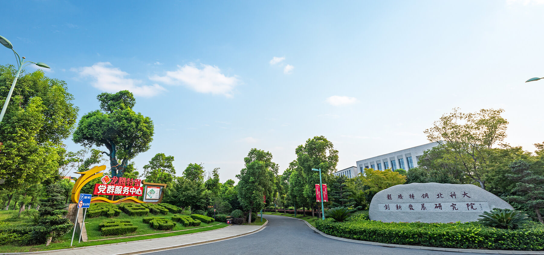 Company overview