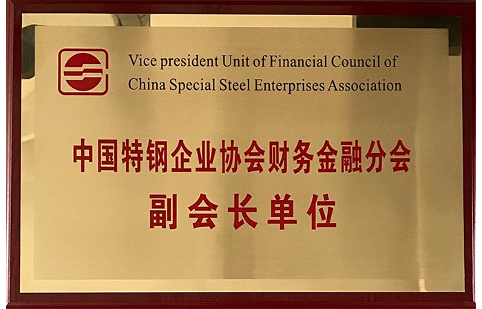 Vice President Unit of Finance and Finance Branch of China Special Steel Enterprise Association