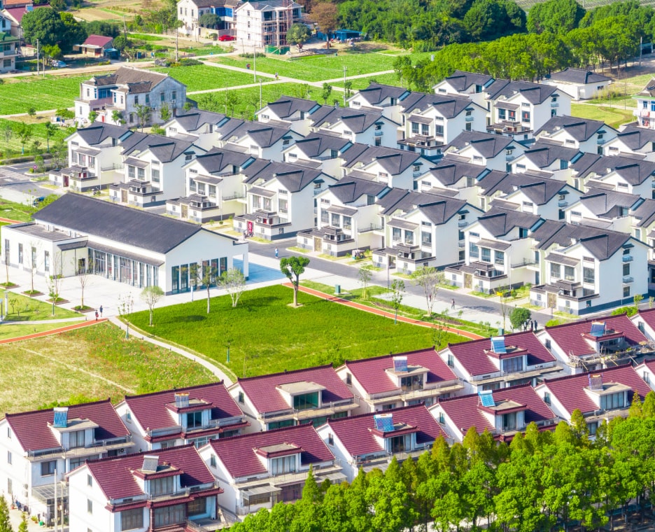 Rural revitalization
