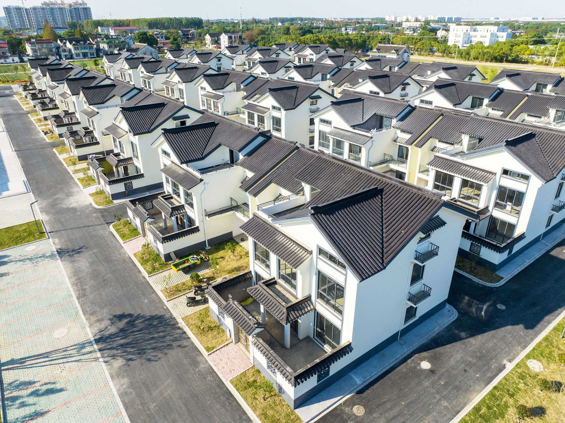 Rural revitalization